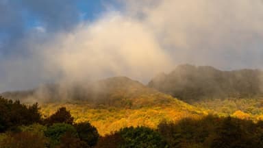 Cap de setmana de Castanyada de plena tardor i una mica de tot